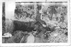 shot-German-guard-Dachau-photo-Sgt.-John-N.-Petro-232-Infantry-E-Company