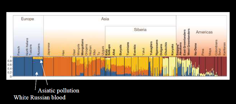 Asiatic-pollution-of-Russian-blood.png