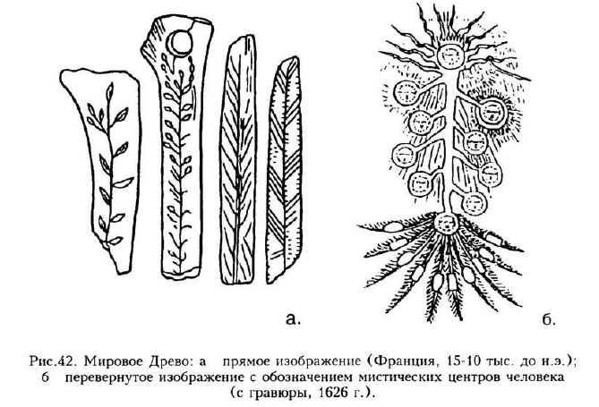 tree-of-life-France-10-15K-BCE-left-1626-depiction-right.png
